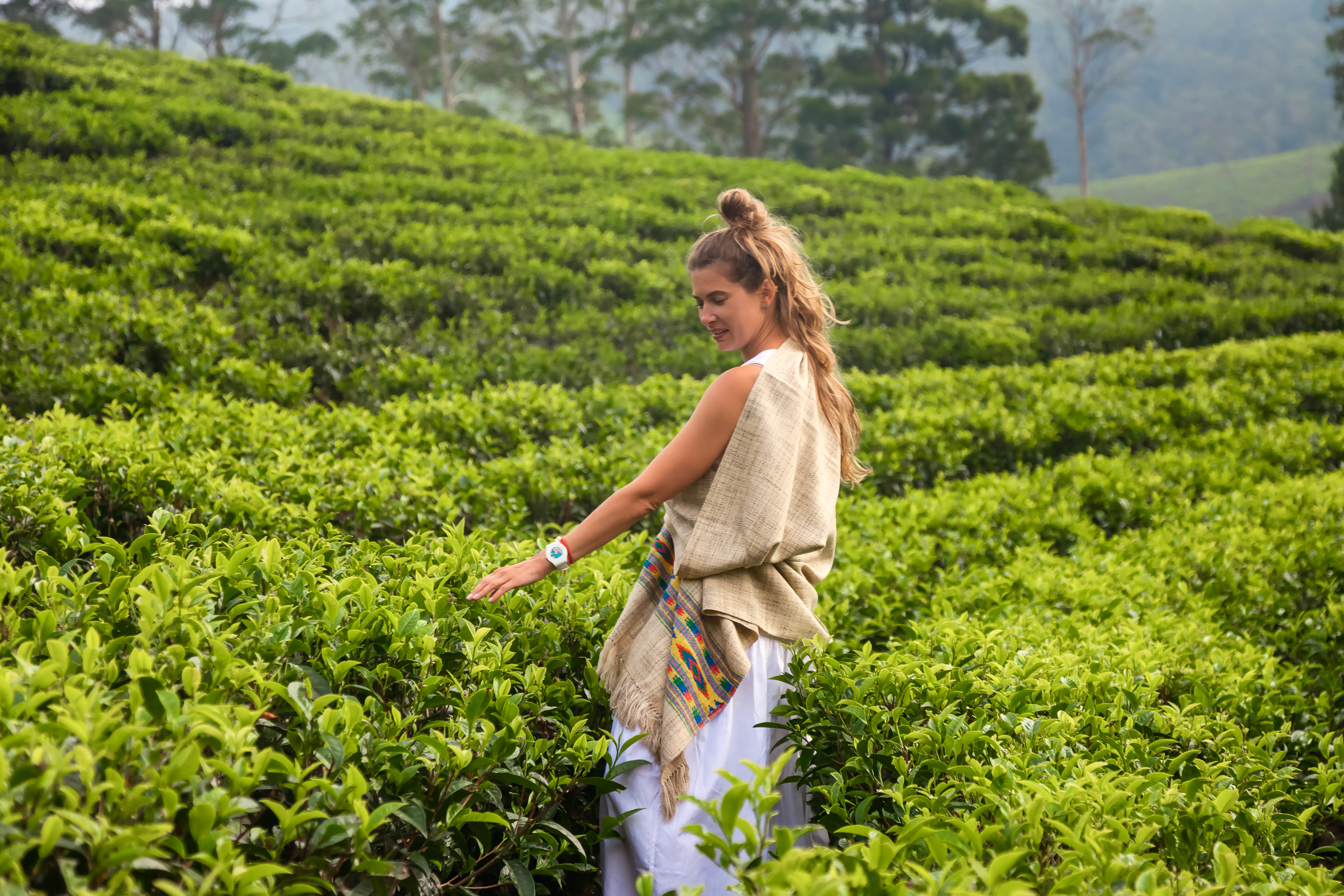 2 Night /3 Days-Highlights of Sri Lanka