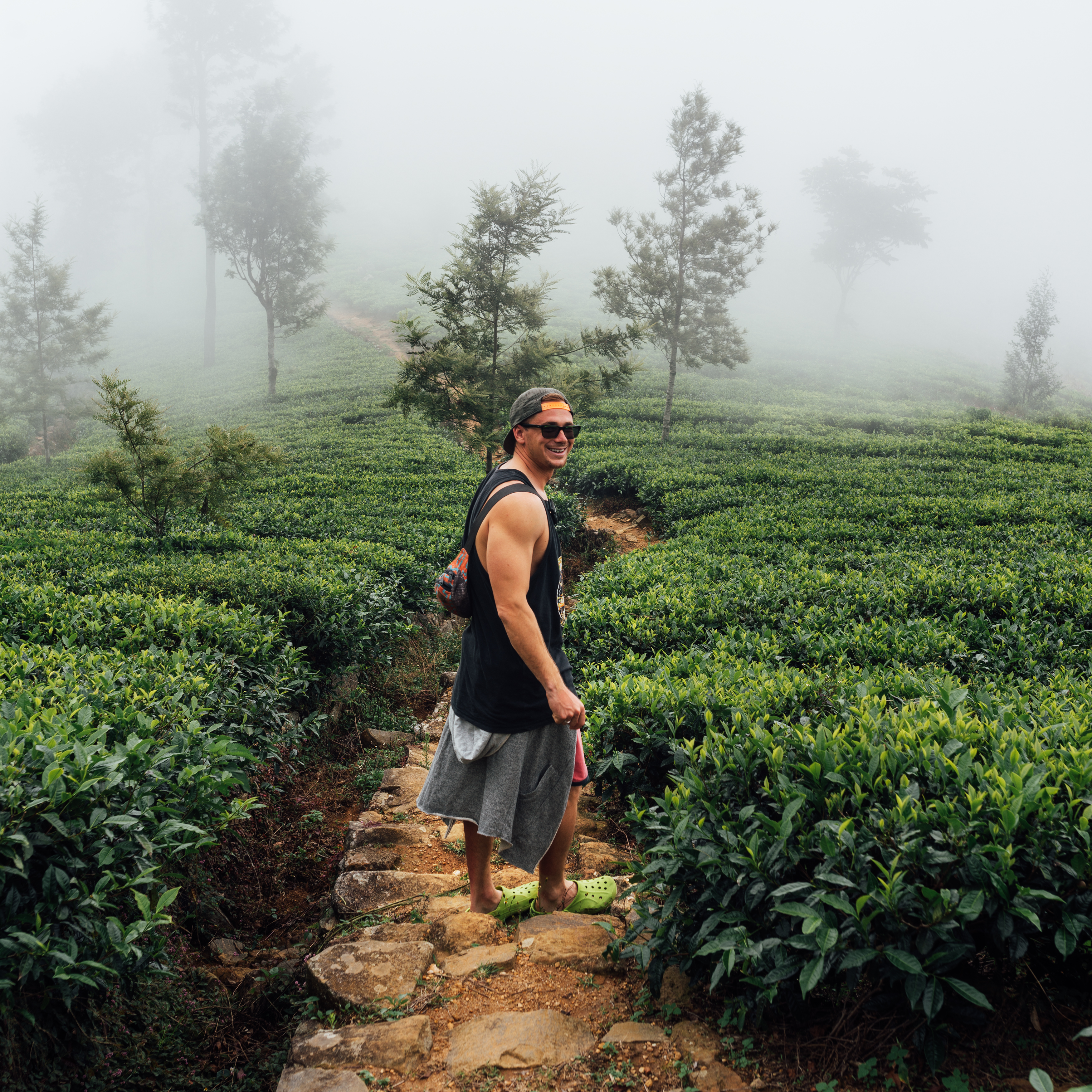 Srilanka Tour Package 7 Nights 8 Days H/B Basis